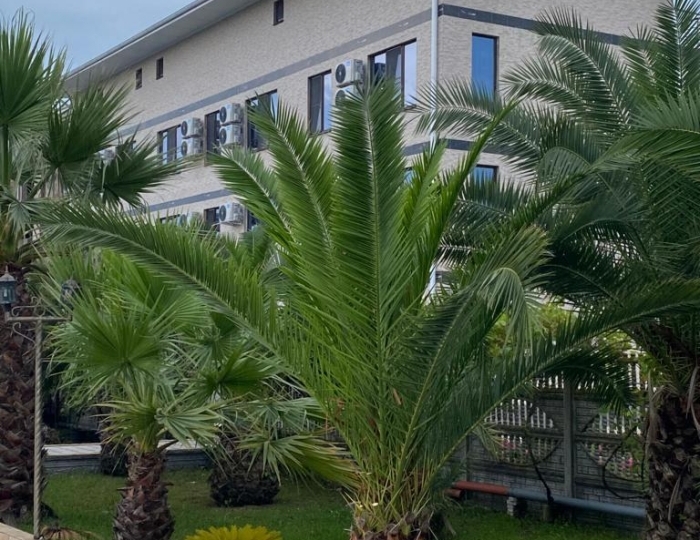 Отель «Галина» Алахадзы