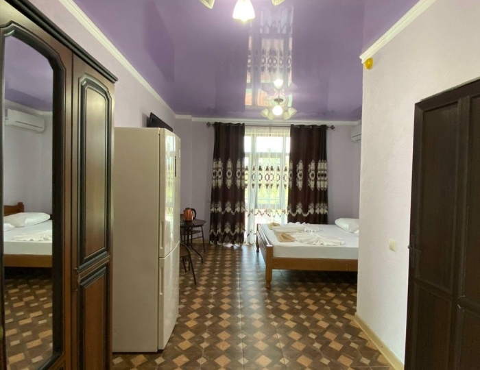 2-местный 1-комнатный номер стандарт с 1 двуспальной кроватью - Отель «Галина» Алахадзы